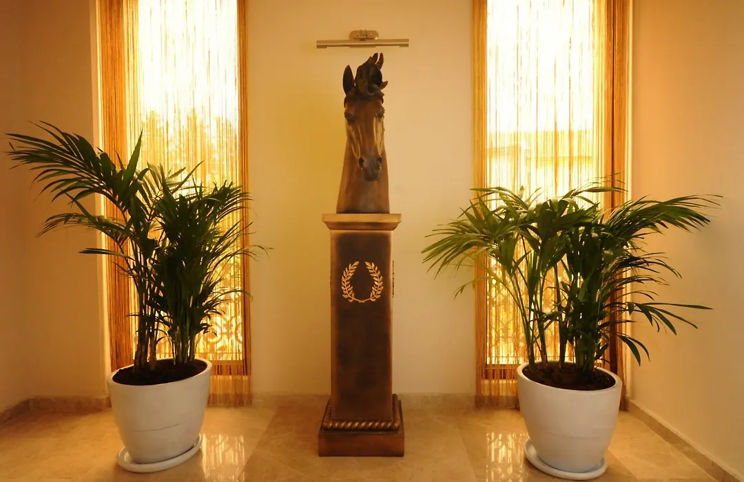 Blueberry Boutique Hotel-1