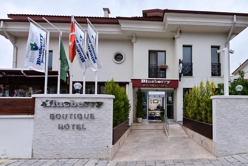Blueberry Boutique Hotel-1
