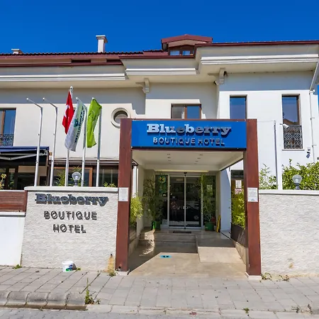 Blueberry Boutique Hotel-2