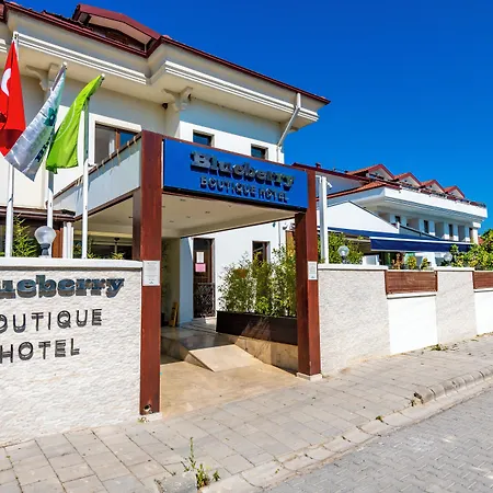Blueberry Boutique Hotel-2